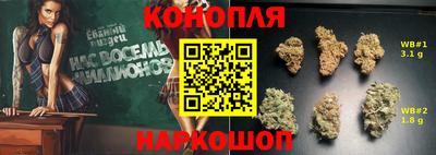 первитин Камышлов