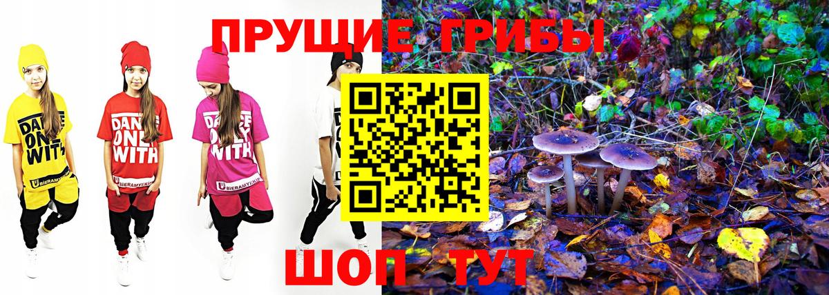 Галлюциногенные грибы мухоморы Лабытнанги